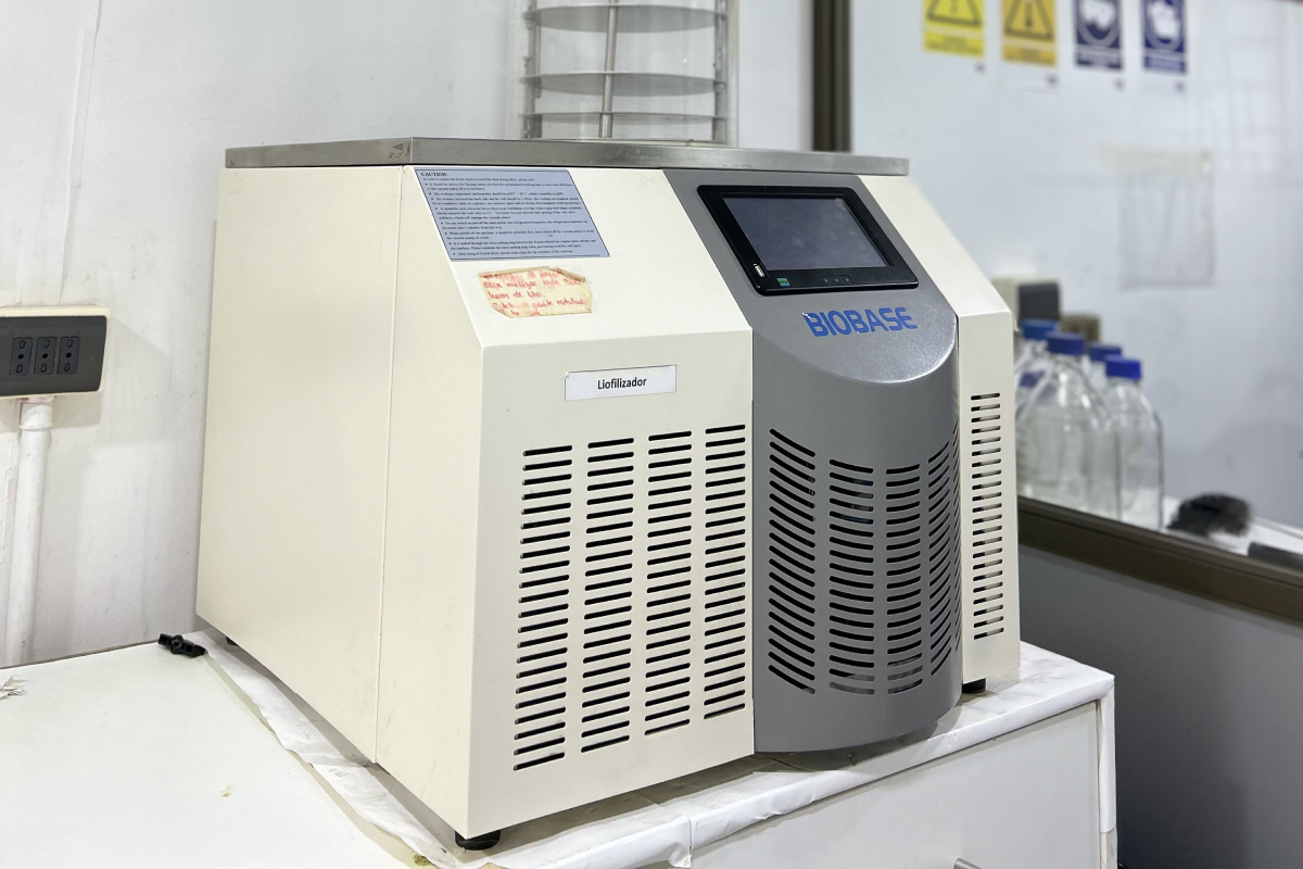 lab 7
